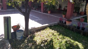 Un patio con un árbol, plantas en macetas y un sendero de ladrillos.