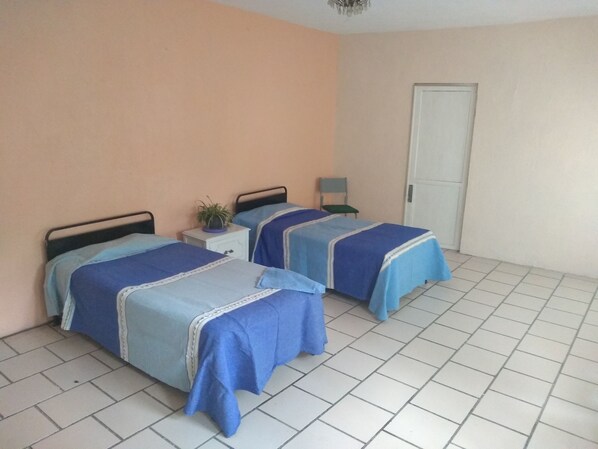 A room with two beds, each with a blue bedspread and a white pillow. There is a small white nightstand with a plant between the beds.