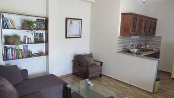 TV, fireplace, books