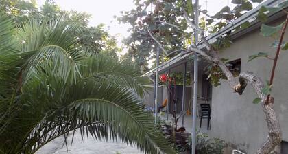 Very comfortable apartment with the garden