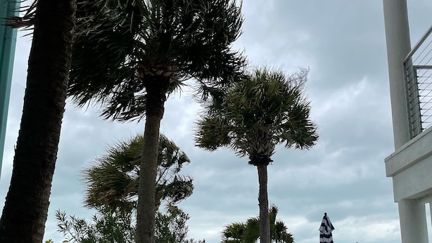 Een pad dat naar een strand leidt, met palmbomen en strandparasols.