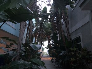 Parco della struttura