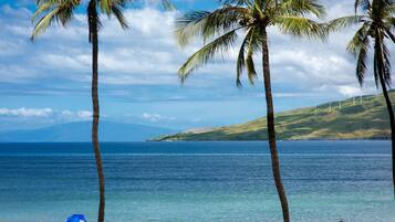 A beach with palm trees, a tent, and a view of the ocean and hills.