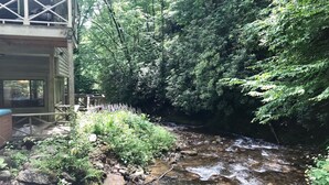 Eine Holzterrasse mit Glasumrandung, die auf einen Bach und dichtes Grün blickt.