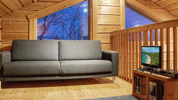 A cozy wooden cabin interior with a gray sofa, a television on a wooden stand, and a large window offering a view of trees.