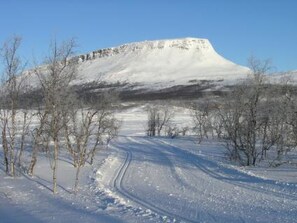 A snowy landscape with a clear path leading to a mountain.