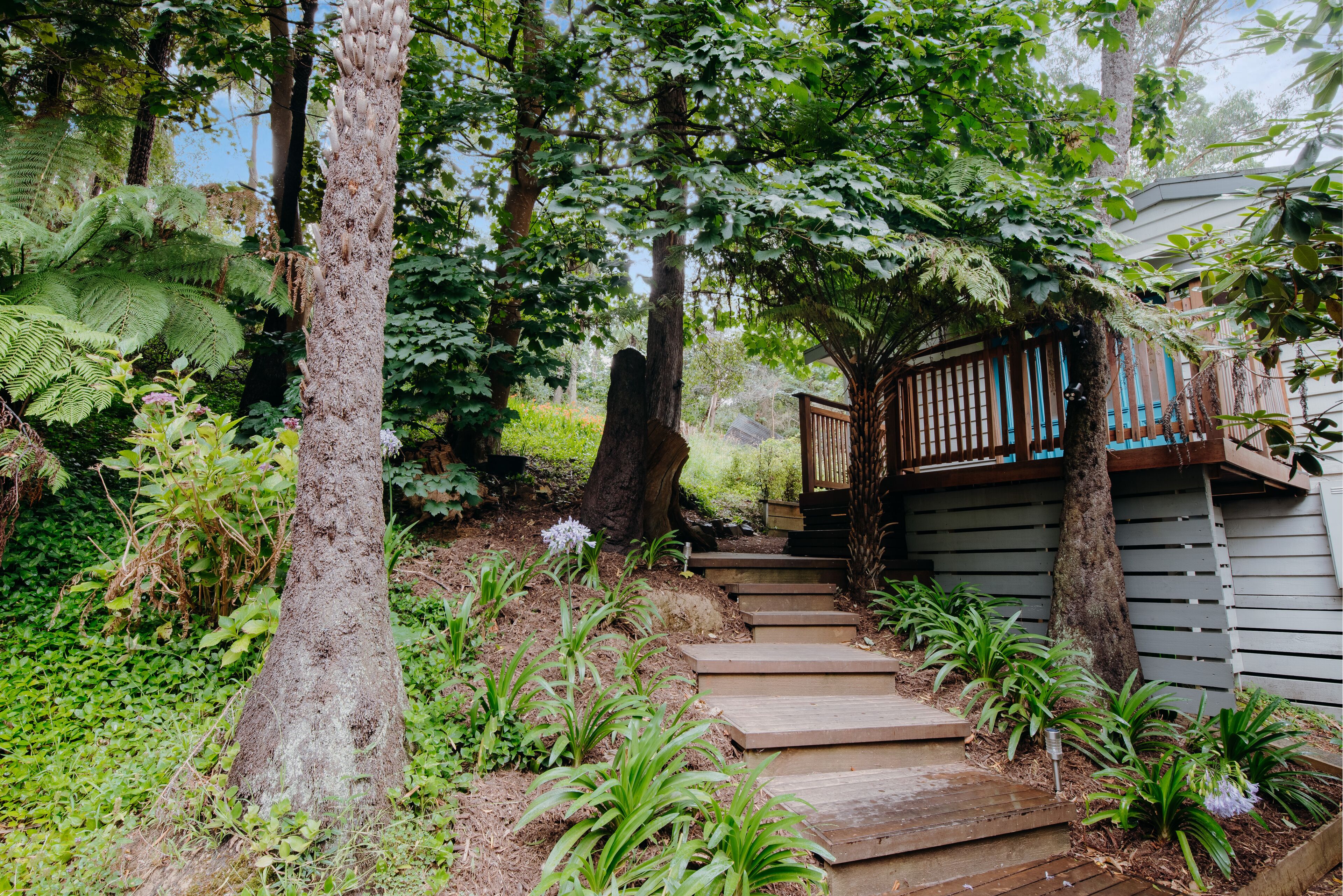 Tranquil hideaway in the rainforest — image 28