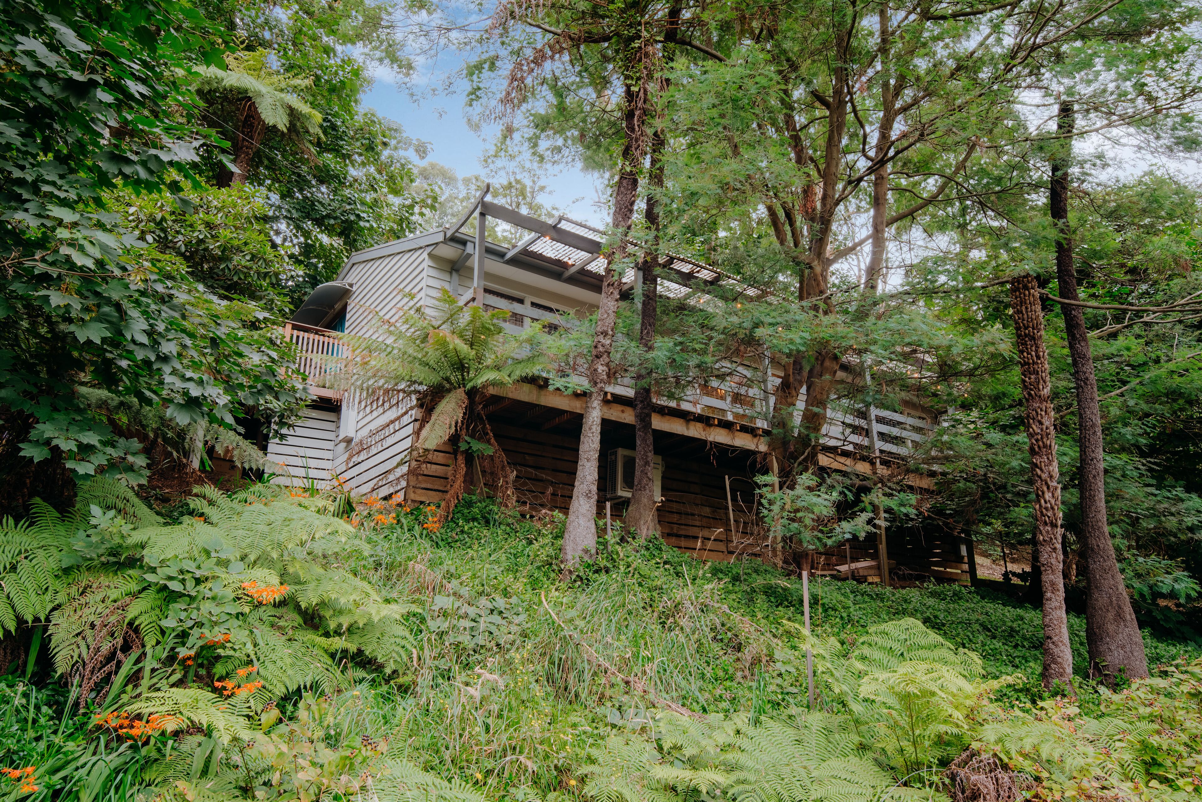 Tranquil hideaway in the rainforest — image 26