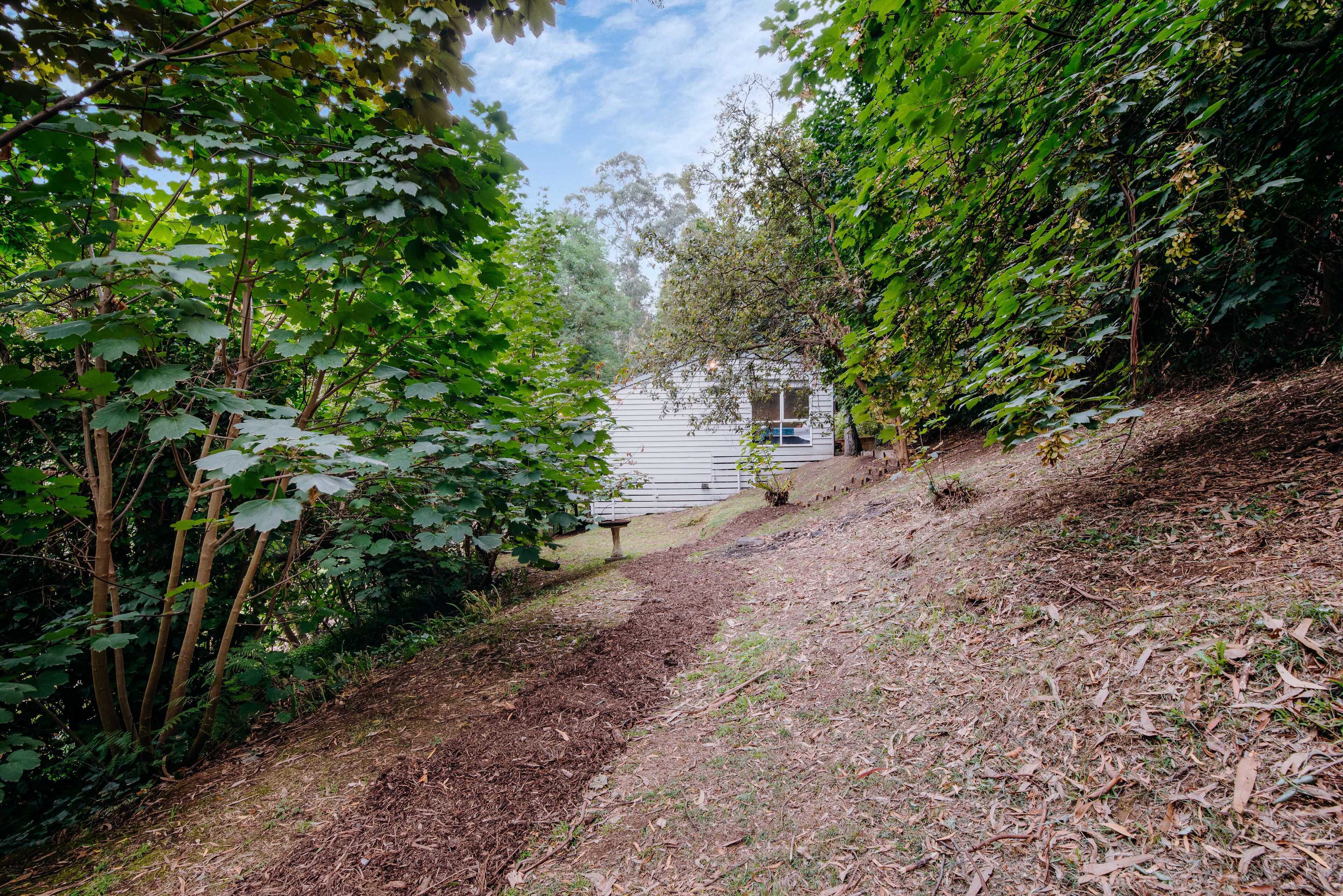 Tranquil hideaway in the rainforest — image 27