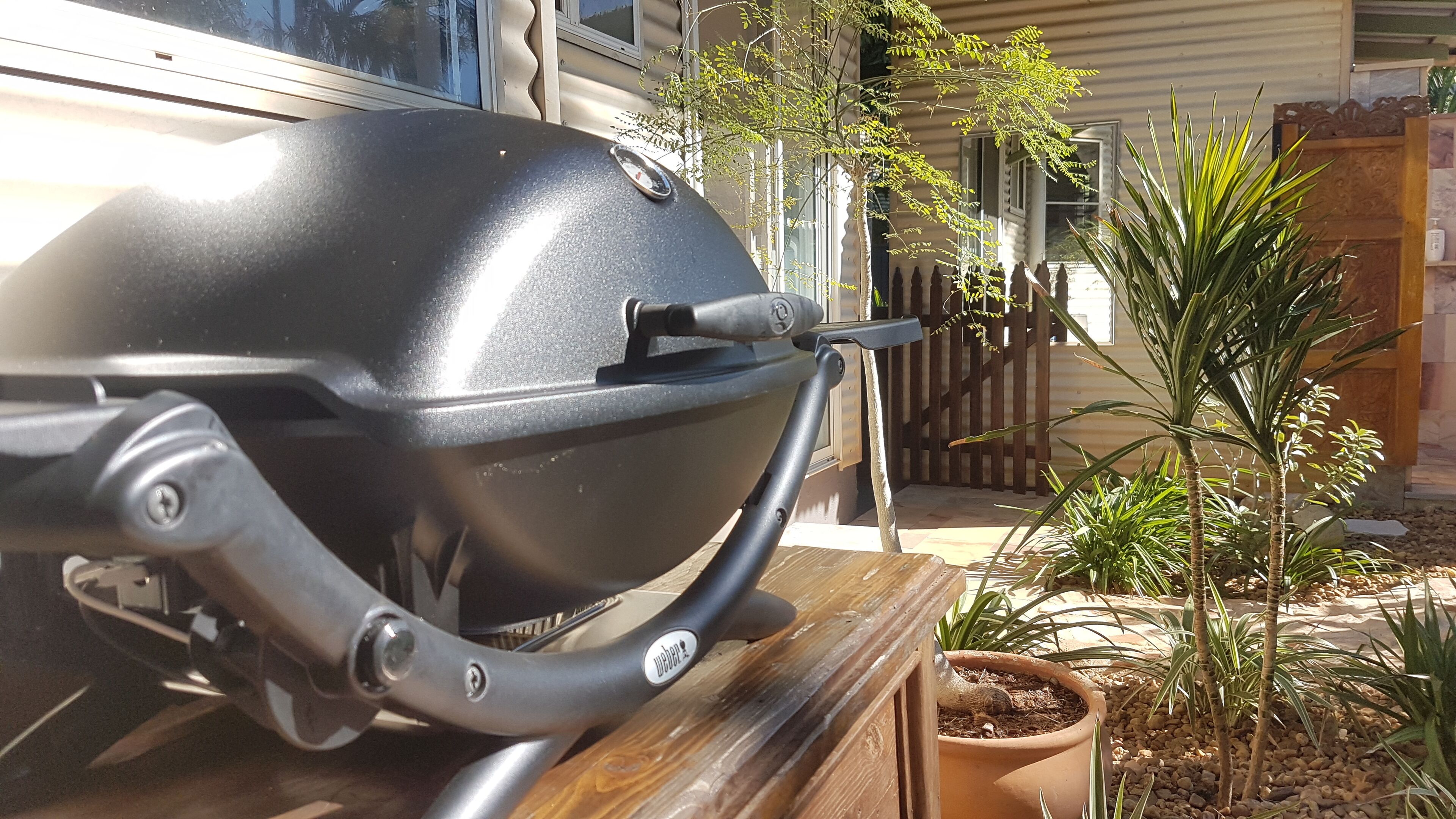 El Sueño - The Dream — image 8