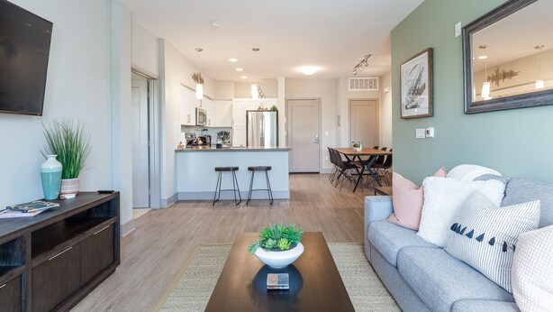 A modern living room with a sofa, a coffee table with a plant, a TV, and a kitchen in the background.