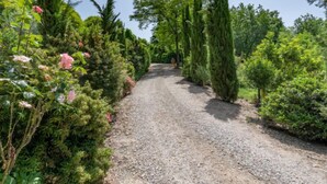 Un sendero de grava bordeado por abundante vegetación y altos árboles, que conduce a un jardín exuberante.