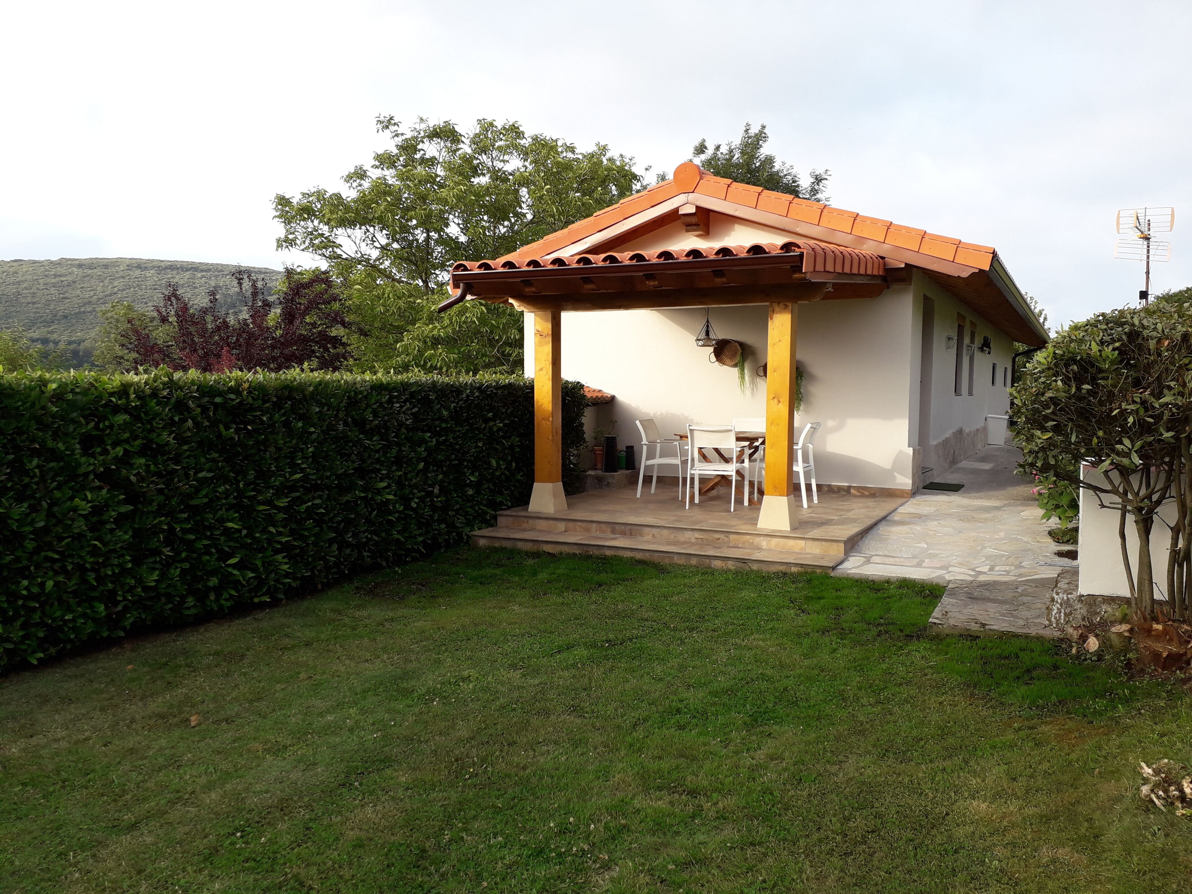 Modern and exclusive casuc A BRAND NEW, 
