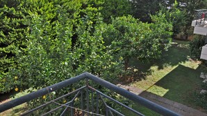 A view of a courtyard with a variety of green plants and trees, a grassy area, and a metal railing. - 4-rooms 145m3  ap. Seaside Athens: Glifada (Glifada)