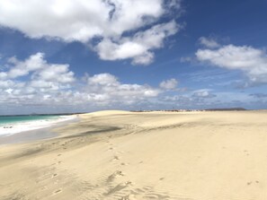 On the beach