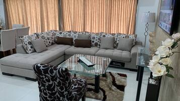 TV, DVD player, music library, video library