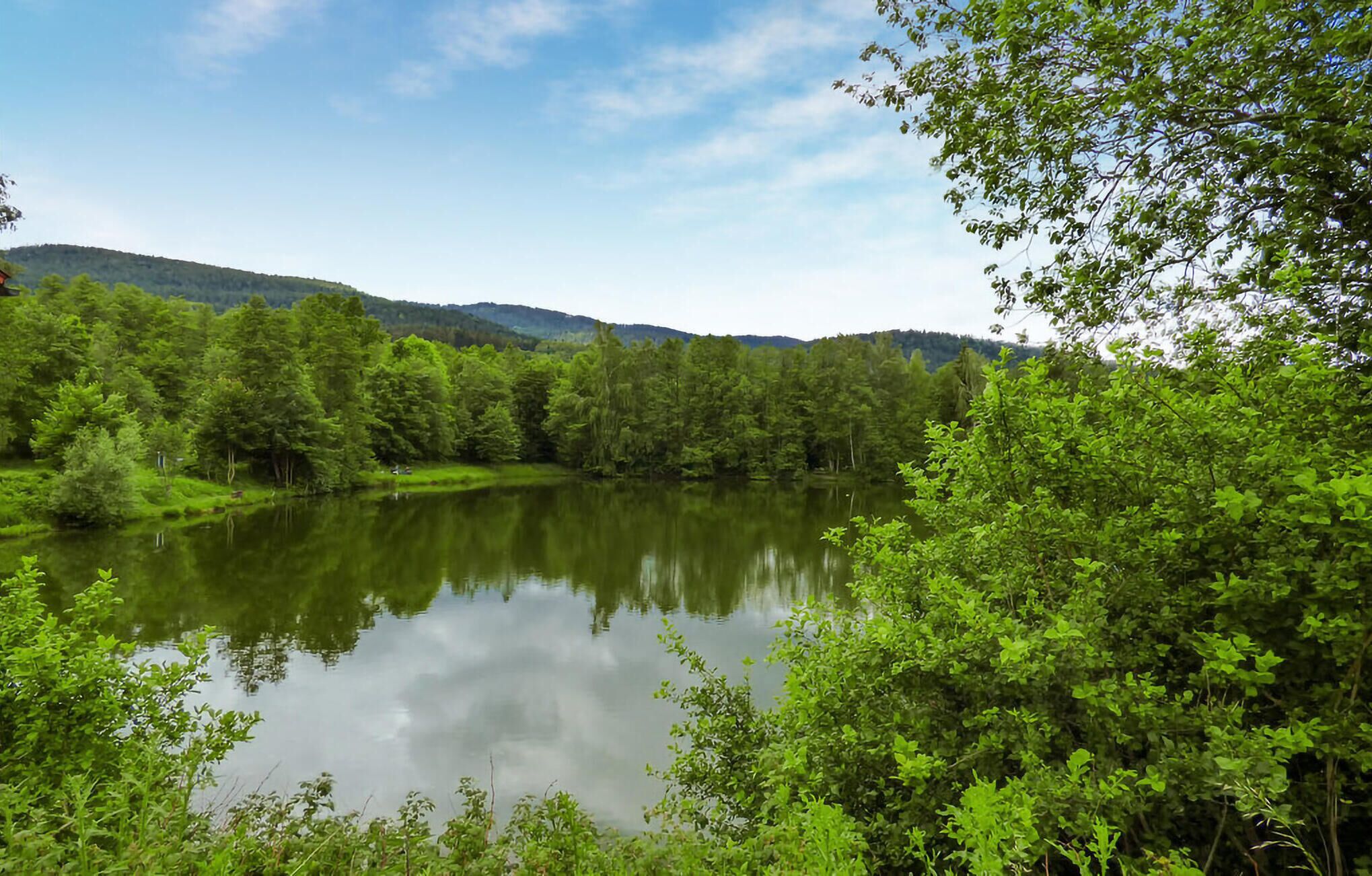 A serene lake surrounded by dense green forest and hills in the background.