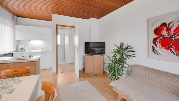 Una sala de estar moderna con un sofá, una televisión, una planta y una cocina al fondo.