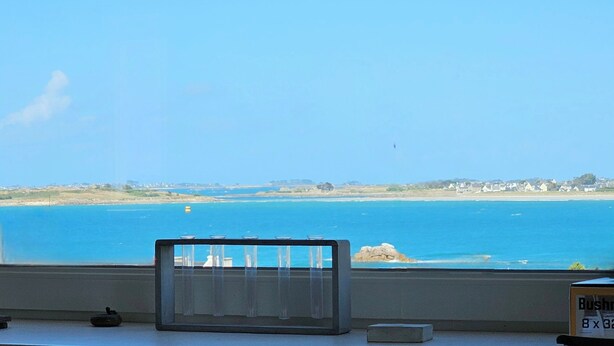 A room with a view of the sea, a window with a curtain, and a box labeled 'Bushnell 8 x 32'. - CHARMING APARTMENT ⭐️⭐️⭐️⭐️ WITH SWIMMING POOL BEAUTIFUL SEA VIEW 150 M FROM SANDY BEACH (SIBIRIL)