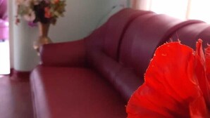 A red sofa in a room with a vase of flowers in the background.