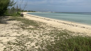 Una spiaggia con acque turchesi cristalline, una riva sabbiosa e vegetazione rada.