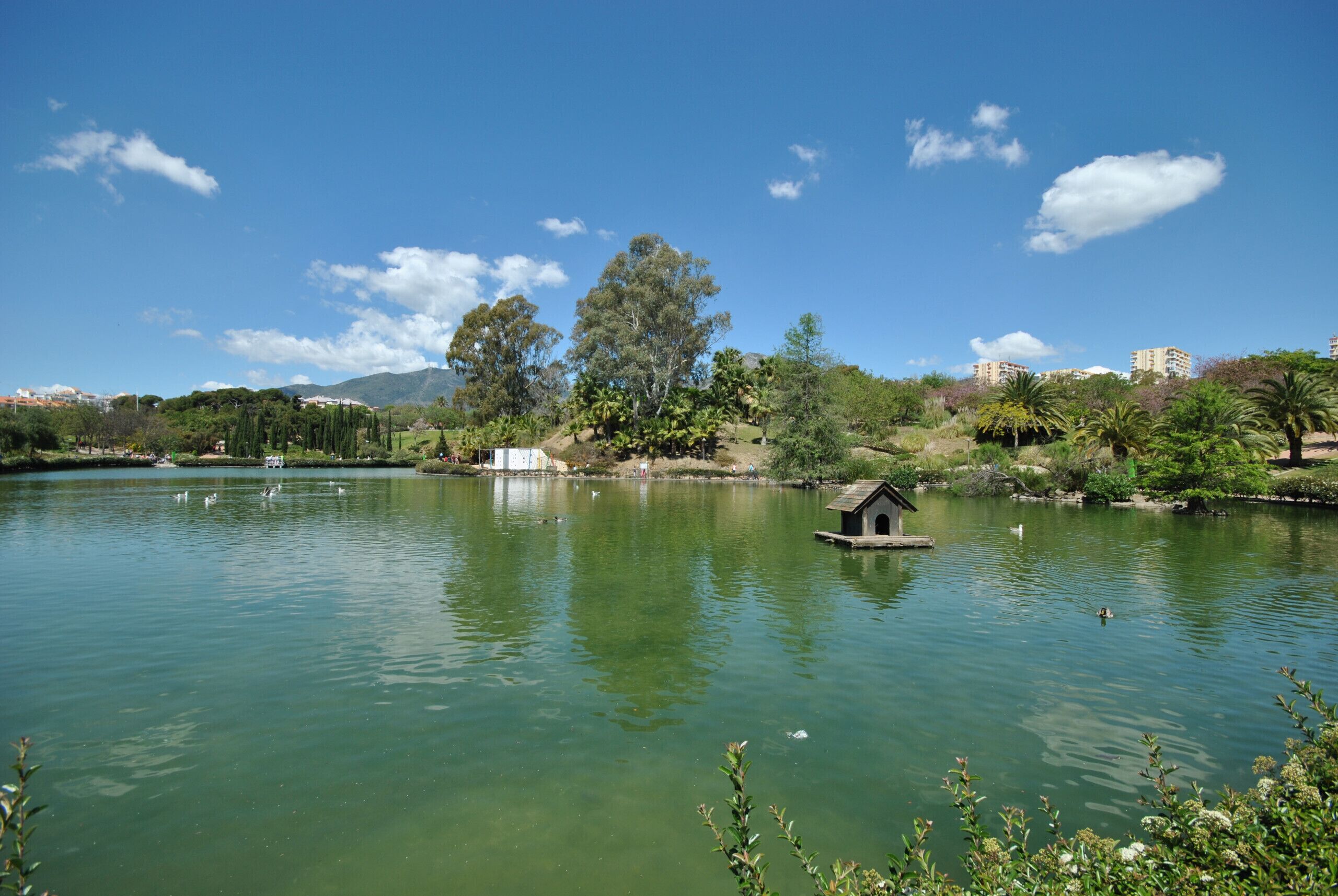 A serene lake with a small wooden structure in the center, surrounded by lush greenery and trees.