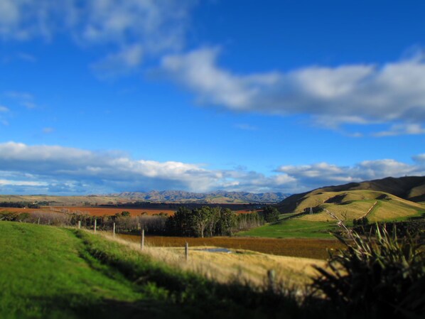 Golf - Hill Top Retreat  homestay - With  270 degrees stunning Views ! (Lower Dashwood, Blenheim)