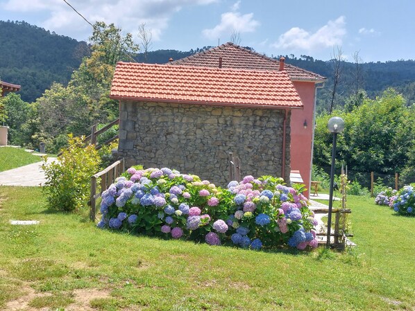 A stone building with a red-tiled roof, surrounded by lush greenery and flowering plants.