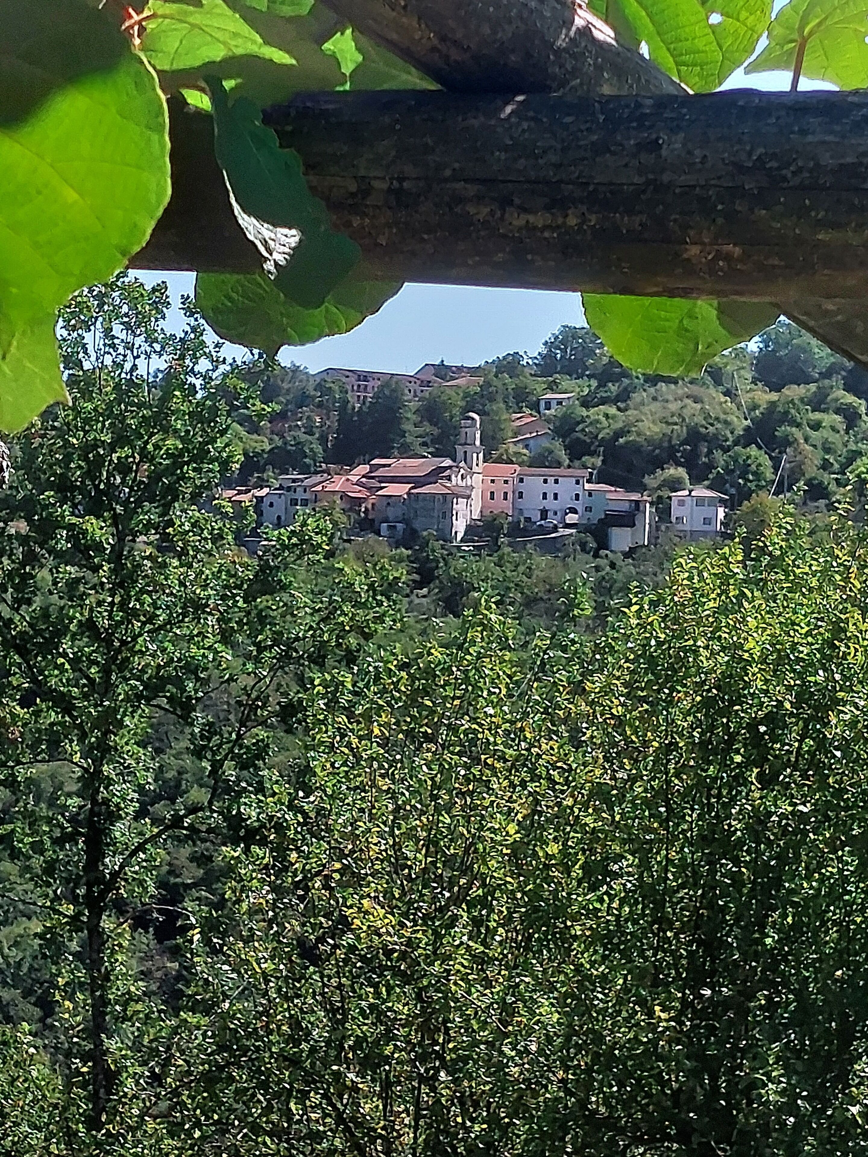 Un pueblo con edificios rodeado de abundante vegetación, incluyendo una iglesia destacada con un campanario.