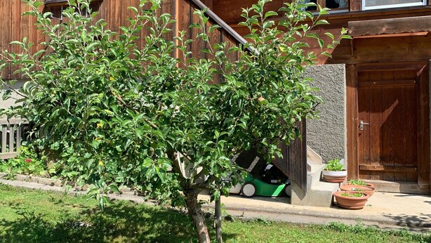 A wooden house with a small tree in the front yard, a wooden staircase, and a green car parked outside. - Apartment on the farm (Gadmen)