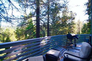 Property grounds - Lake Arrowhead mountain chalet in the treetops with lake view (Lake Arrowhead)