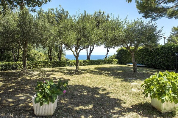 Un jardin avec des arbres, une pelouse et une vue sur la mer.