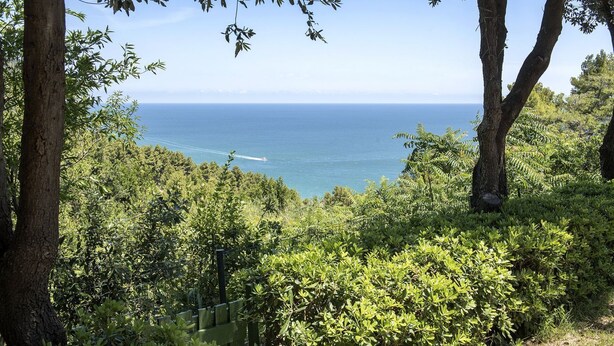 Un paysage côtier caractérisé par une végétation luxuriante et une vue sur la mer.