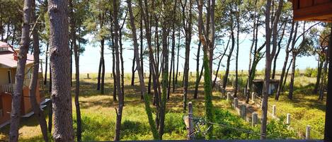 Economy kamer | Uitzicht vanaf balkon