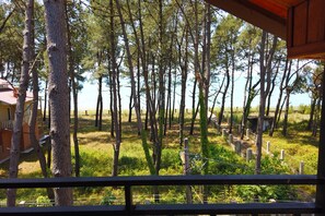 A view from a balcony overlooking a forested area with a building in the background. - Gina Shekvetili (Shekhvetili)