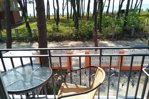 Comfort Room | Balcony view - Gina Shekvetili (Shekhvetili)