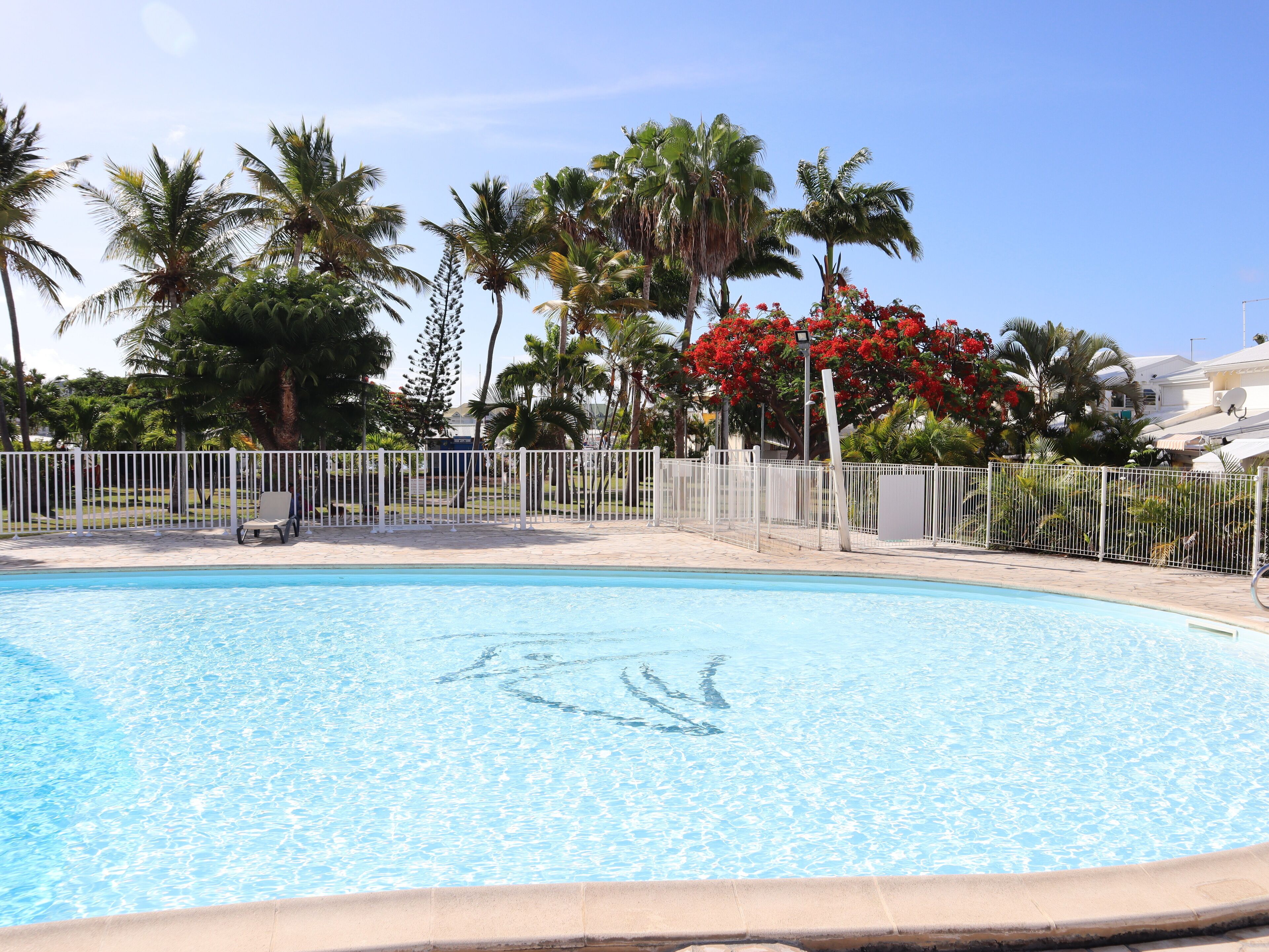 Una piscina blu cristallina con una recinzione bianca e palme sullo sfondo.