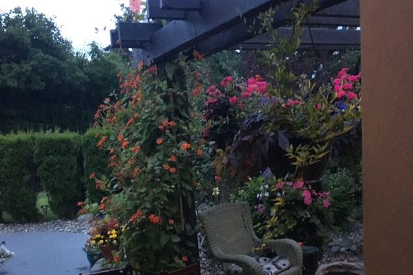 Terrasse/patio