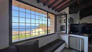 Televisie, een open haard, een dvd-speler en boeken