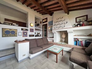 TV, fireplace, DVD player, books
