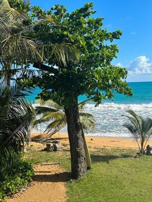 Plage à proximité, serviettes de plage