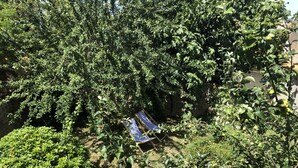 A garden area with a bench and dense foliage. - Le relais de la Sicarde (Saint-Denis-d´Oléron)
