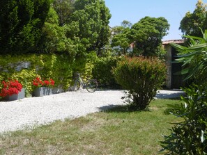 A gravel driveway leading to a building with a metal gate, surrounded by lush greenery and flowering plants.