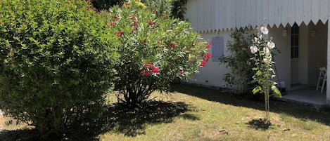 Un edificio con fachada blanca y tejado de tejas rojas. Cuenta con un pequeño jardín con plantas y flores diversas.