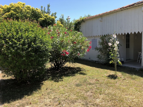 Ein Gebäude mit weißer Fassade und roten Ziegeln auf dem Dach. Ein kleiner Gartenbereich mit verschiedenen Pflanzen und Blumen.
