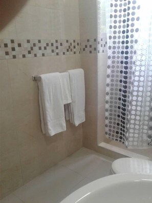 Regadera, secadora de cabello, bidet, toallas