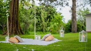 Ein Picknick mit Decke, Kissen und Laternen auf einer grünen Wiese mit Bäumen.