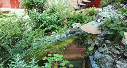 Large house with enclosed plot of 2000 m2, beautiful garden and barbecue.