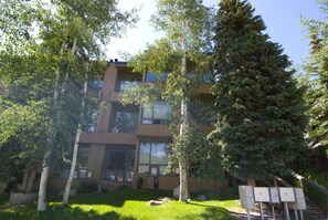 Stunning building with large windows and a lush green setting.
