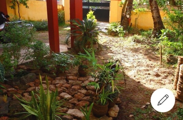 Stroll through this serene garden, surrounded by lush potted plants and a meandering stone pathway.
